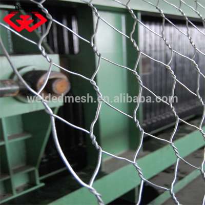 hot dipped galvanized 10x10mm hexagonal chicken wire mesh