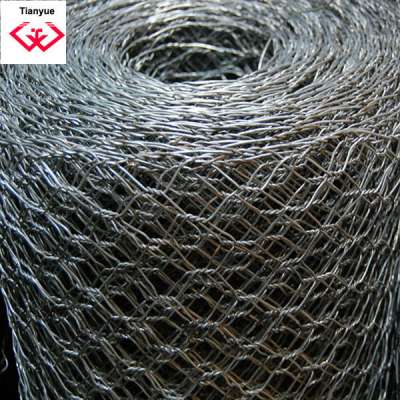 Chicken Wire Mesh (direct factory)