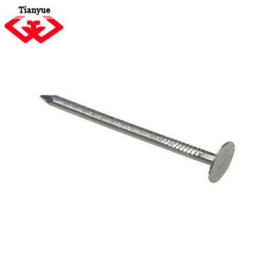 common nails for construction usage iron nails